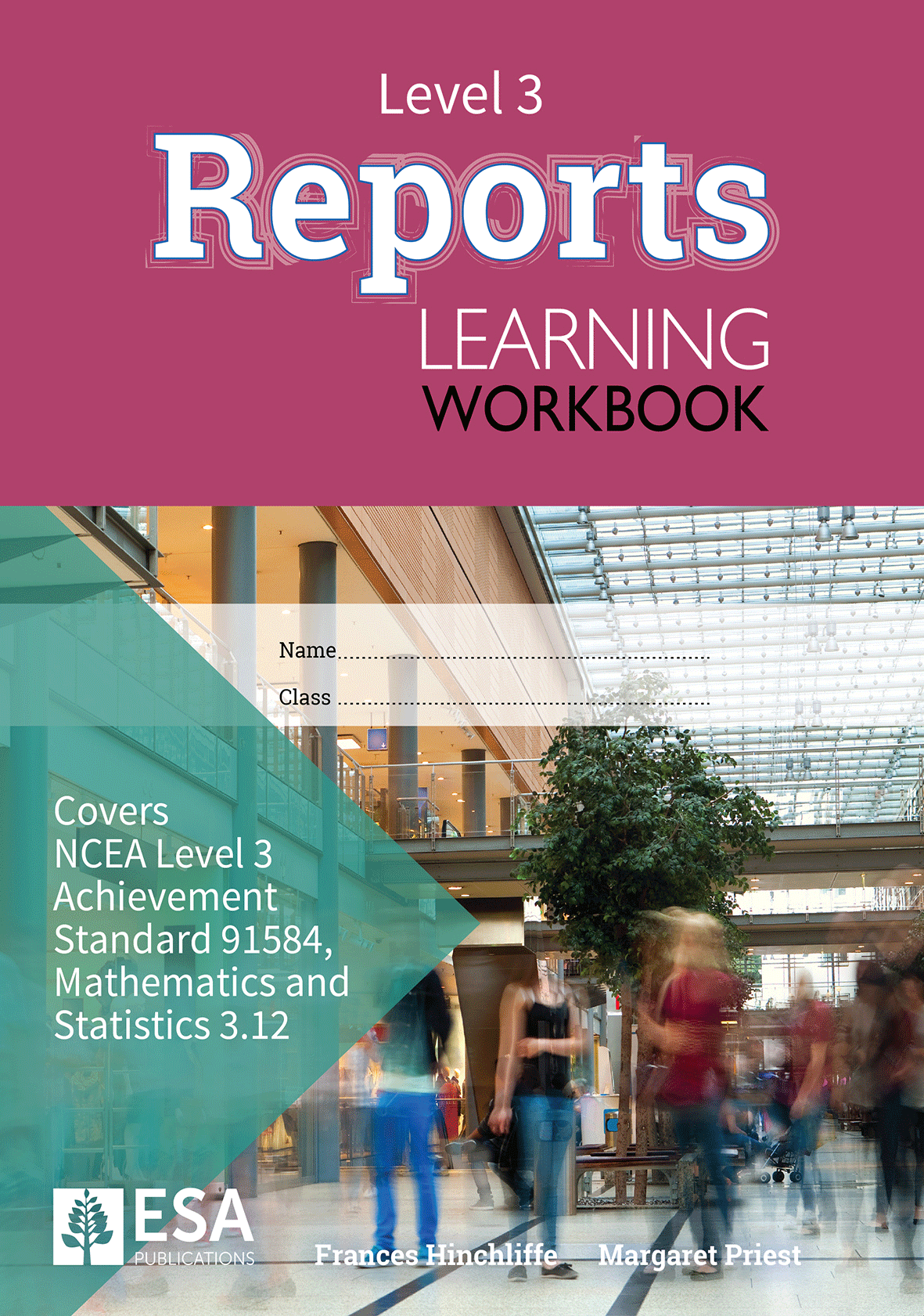 Level 3 Reports 3.12 Learning Workbook