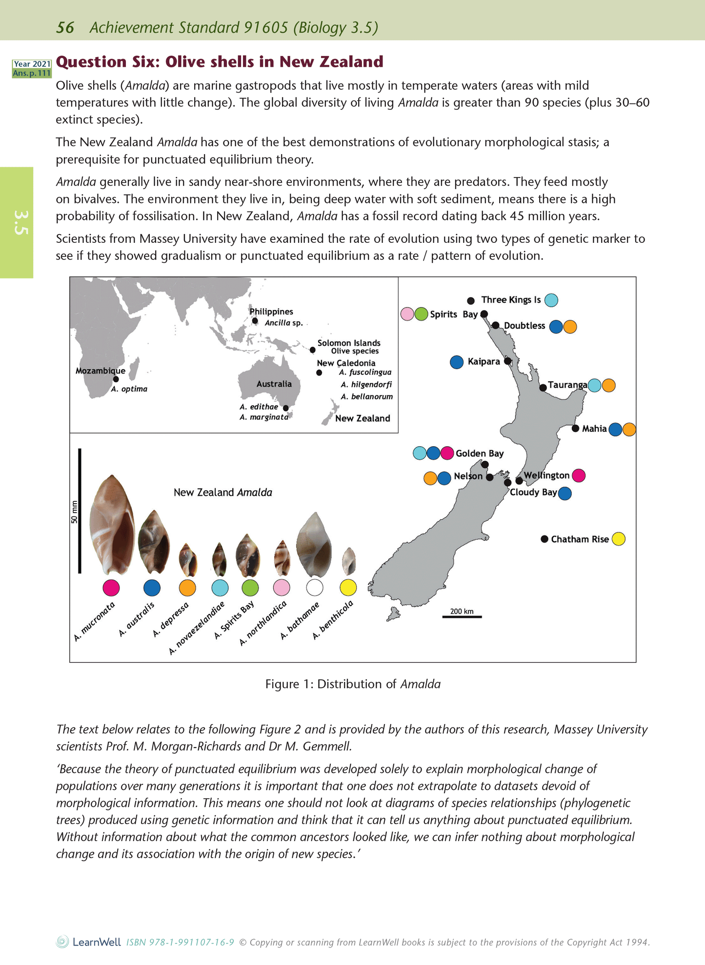 Level 3 Biology AME Workbook