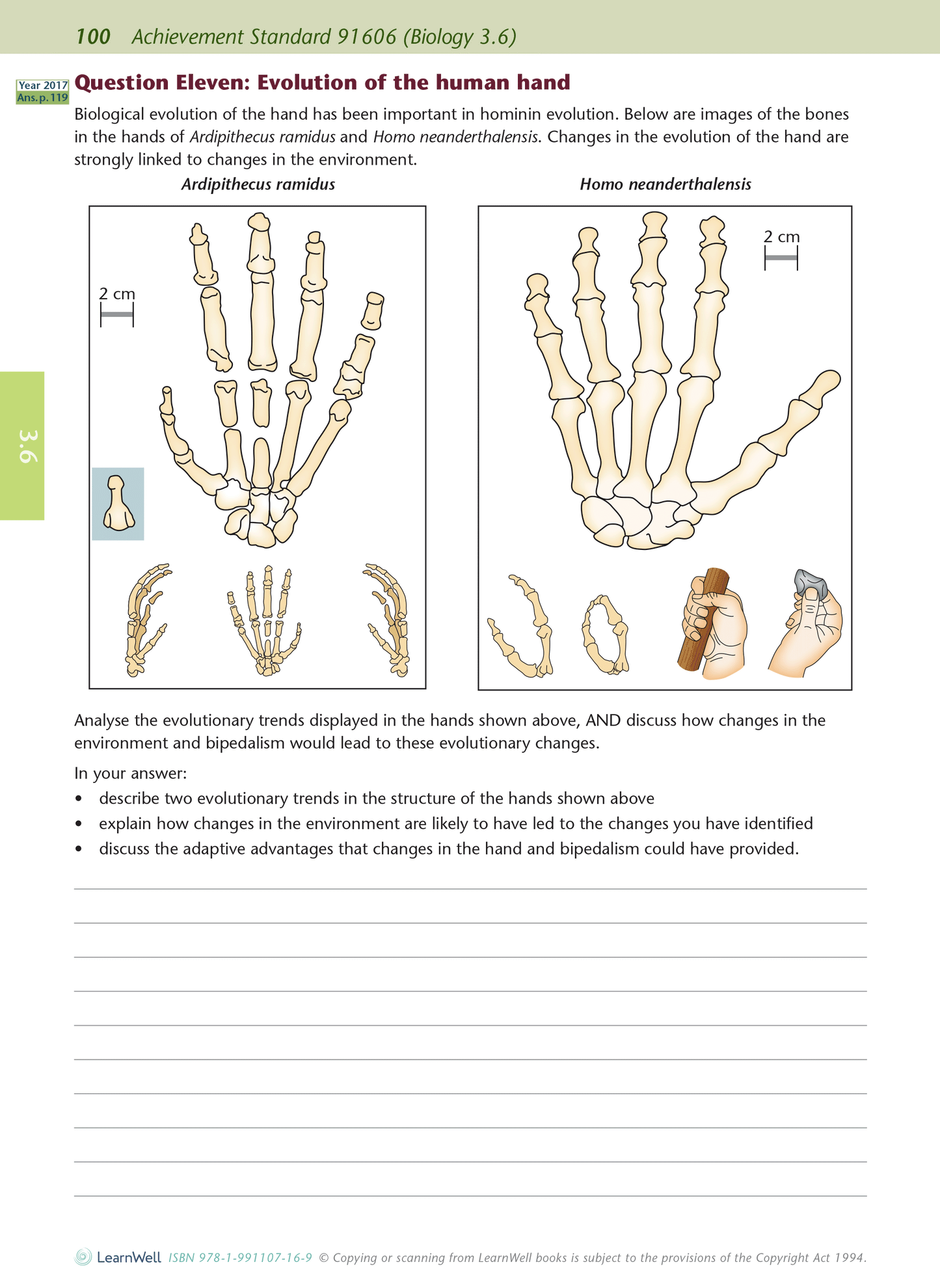 Level 3 Biology AME Workbook