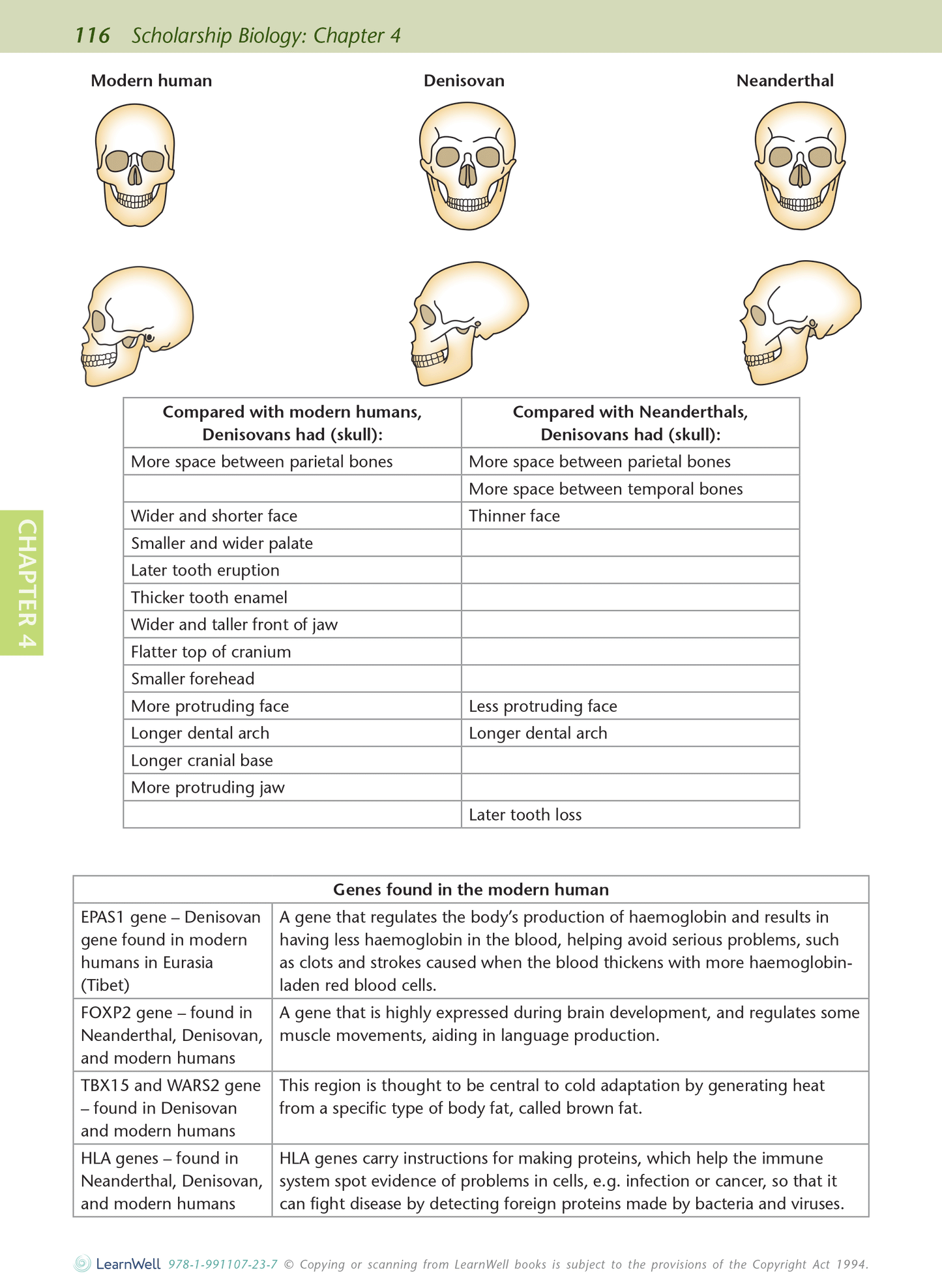 Scholarship Biology AME Workbook