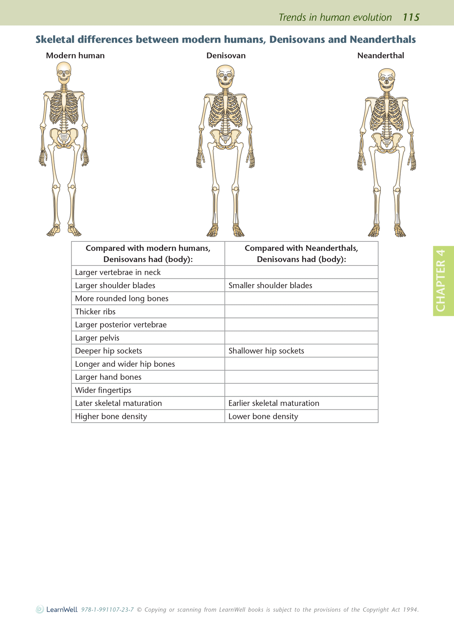 Scholarship Biology AME Workbook