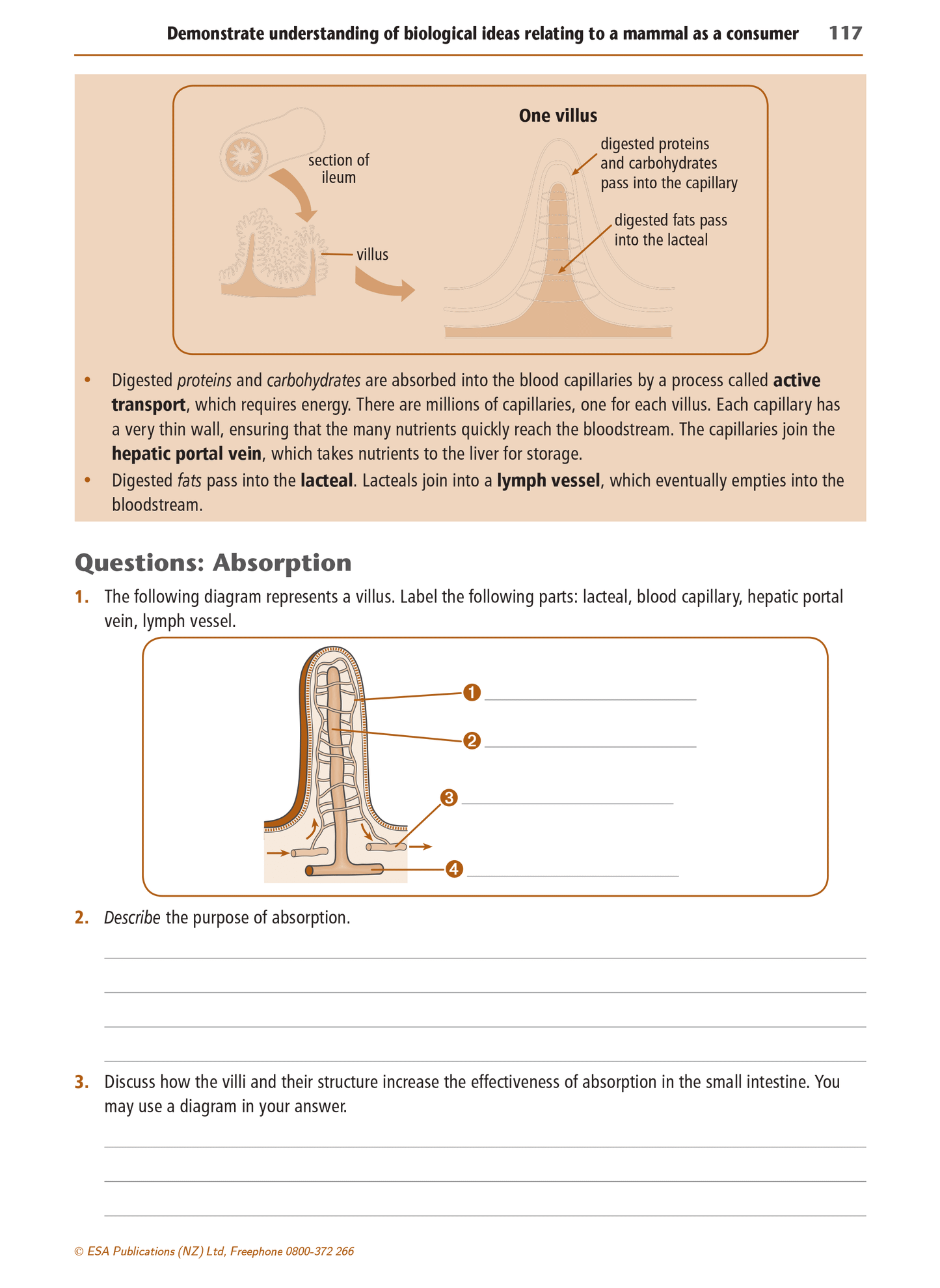 Level 1 Biology Learning Workbook