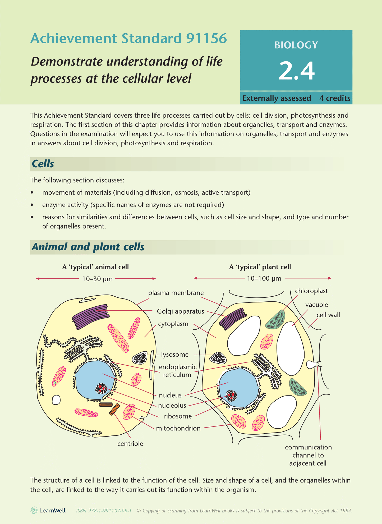 Level 2 Biology AME Workbook