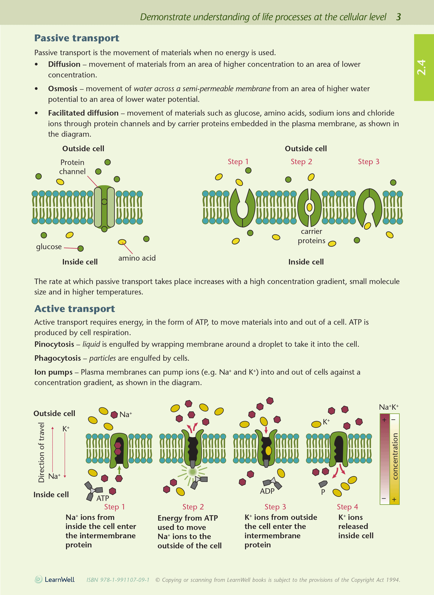 Level 2 Biology AME Workbook