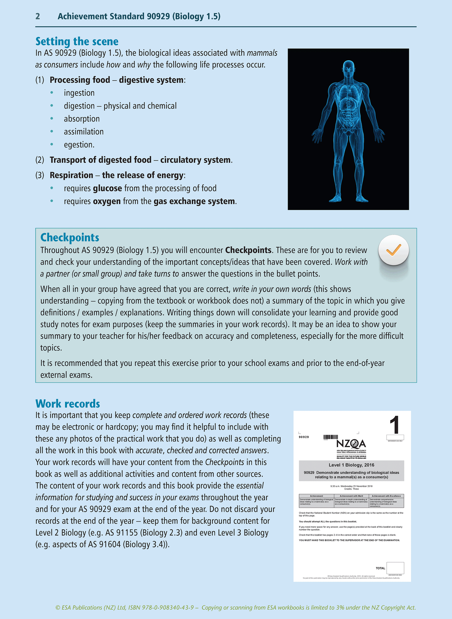 Level 1 Mammals as Consumers 1.5 Learning Workbook