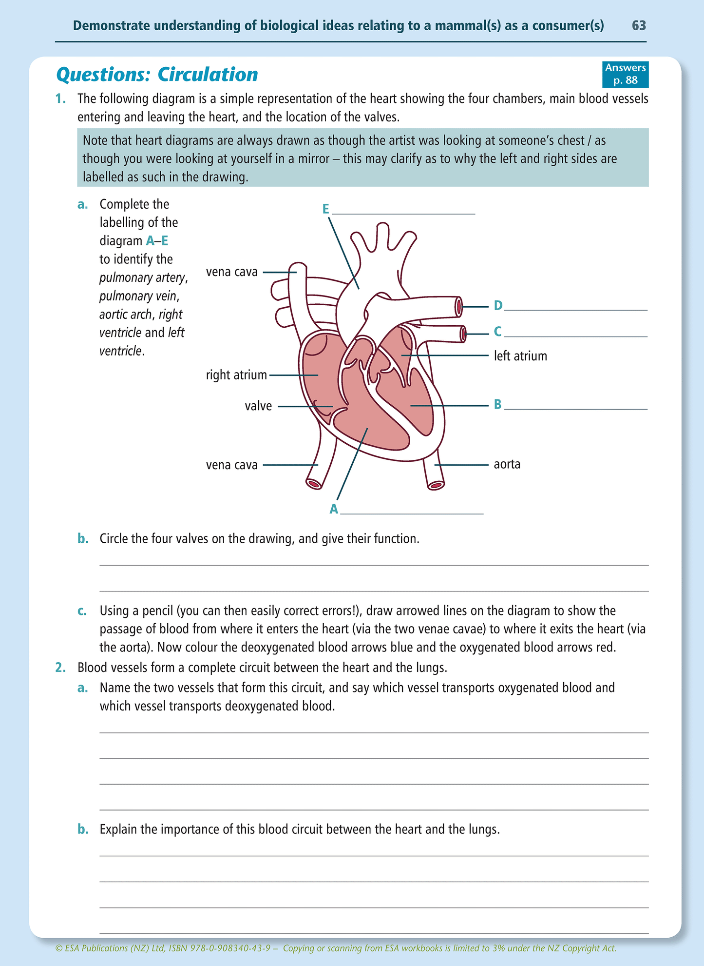 Level 1 Mammals as Consumers 1.5 Learning Workbook