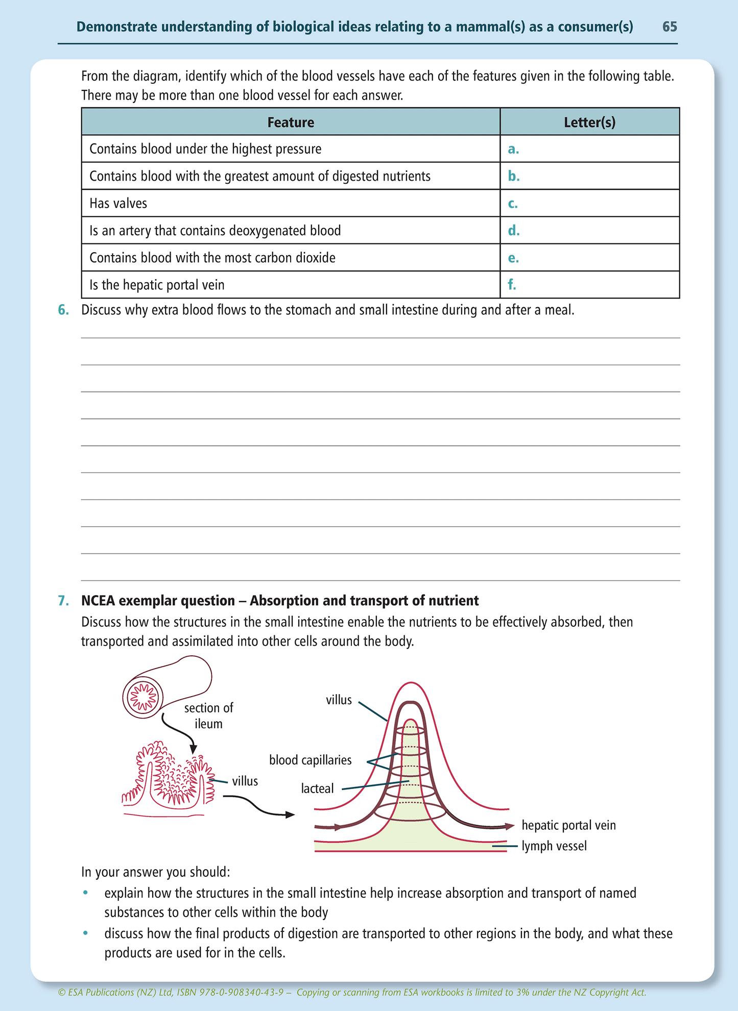 Level 1 Mammals as Consumers 1.5 Learning Workbook