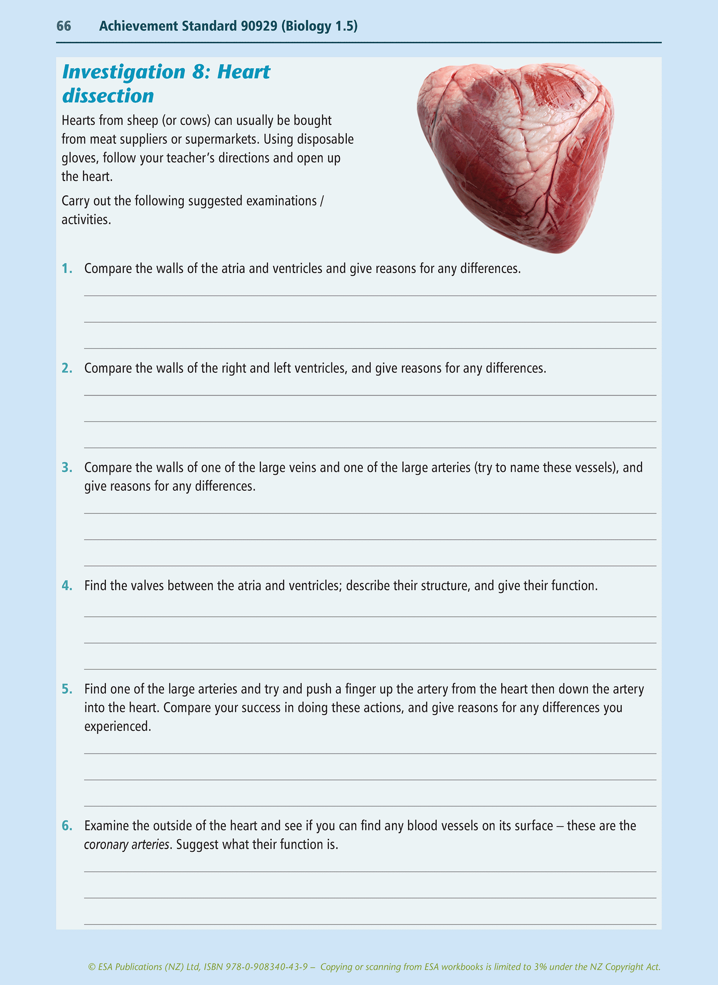 Level 1 Mammals as Consumers 1.5 Learning Workbook