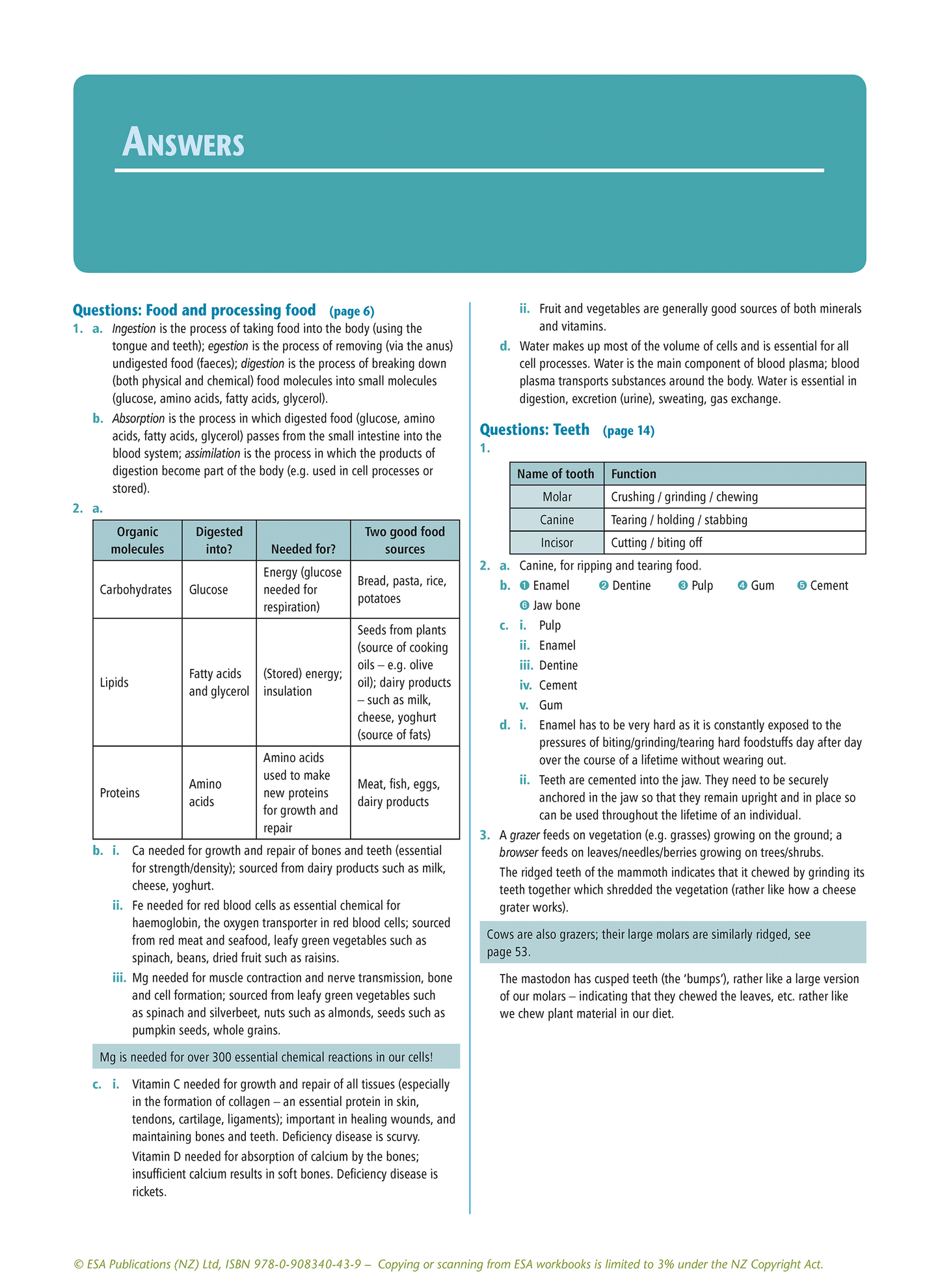 Level 1 Mammals as Consumers 1.5 Learning Workbook