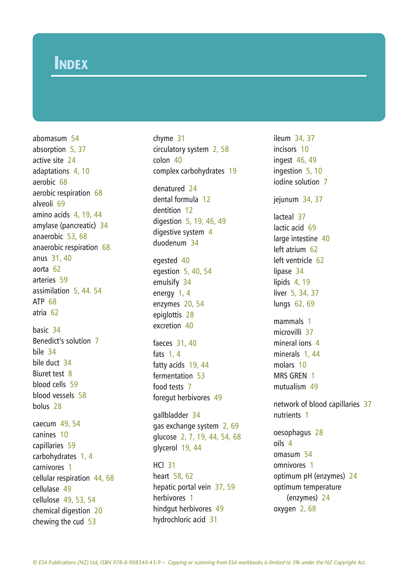 Level 1 Mammals as Consumers 1.5 Learning Workbook