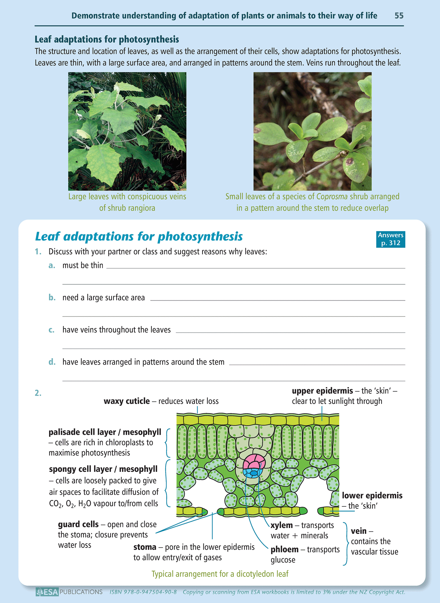 Level 2 Biology Learning Workbook