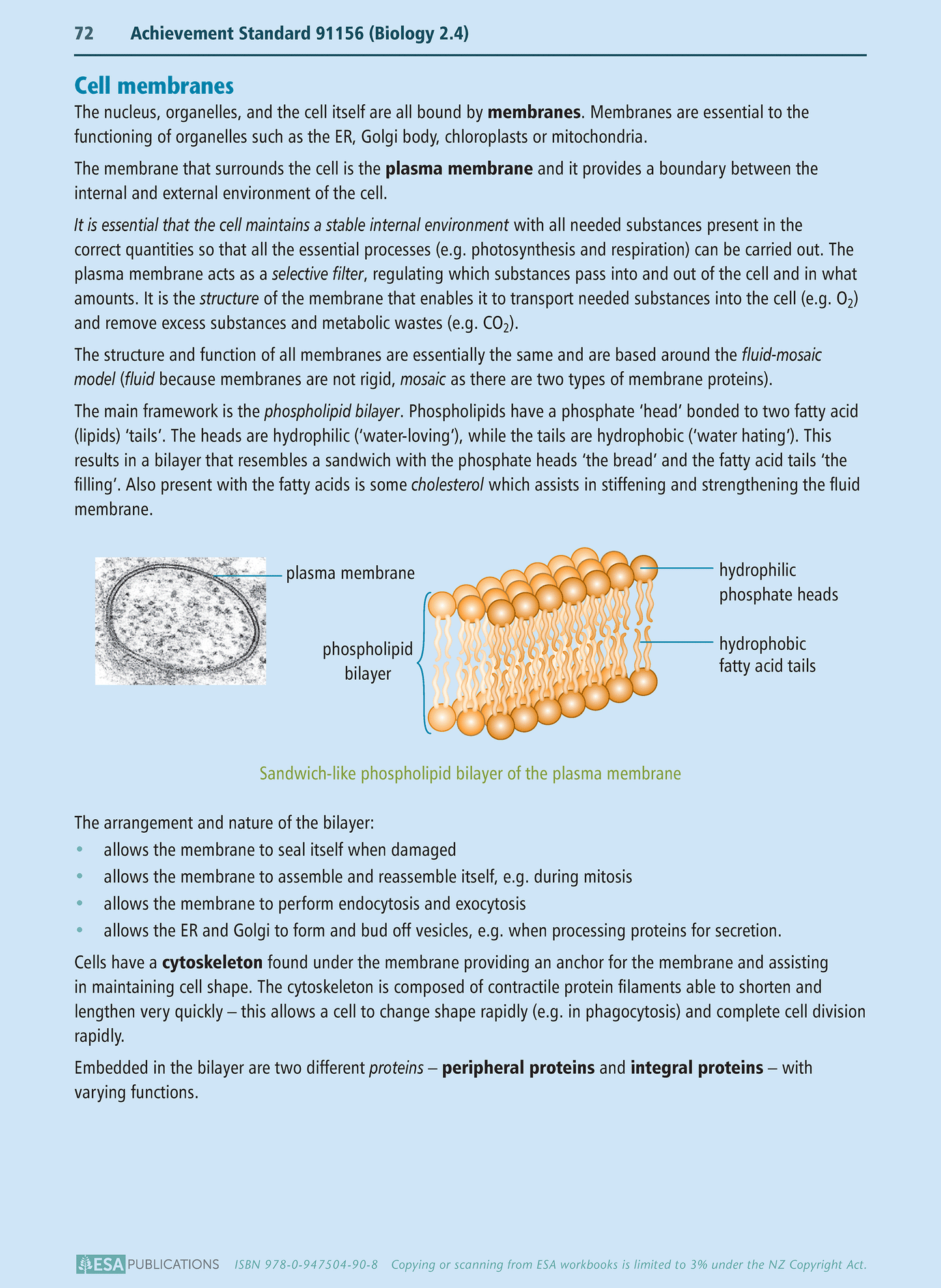 Level 2 Biology Learning Workbook