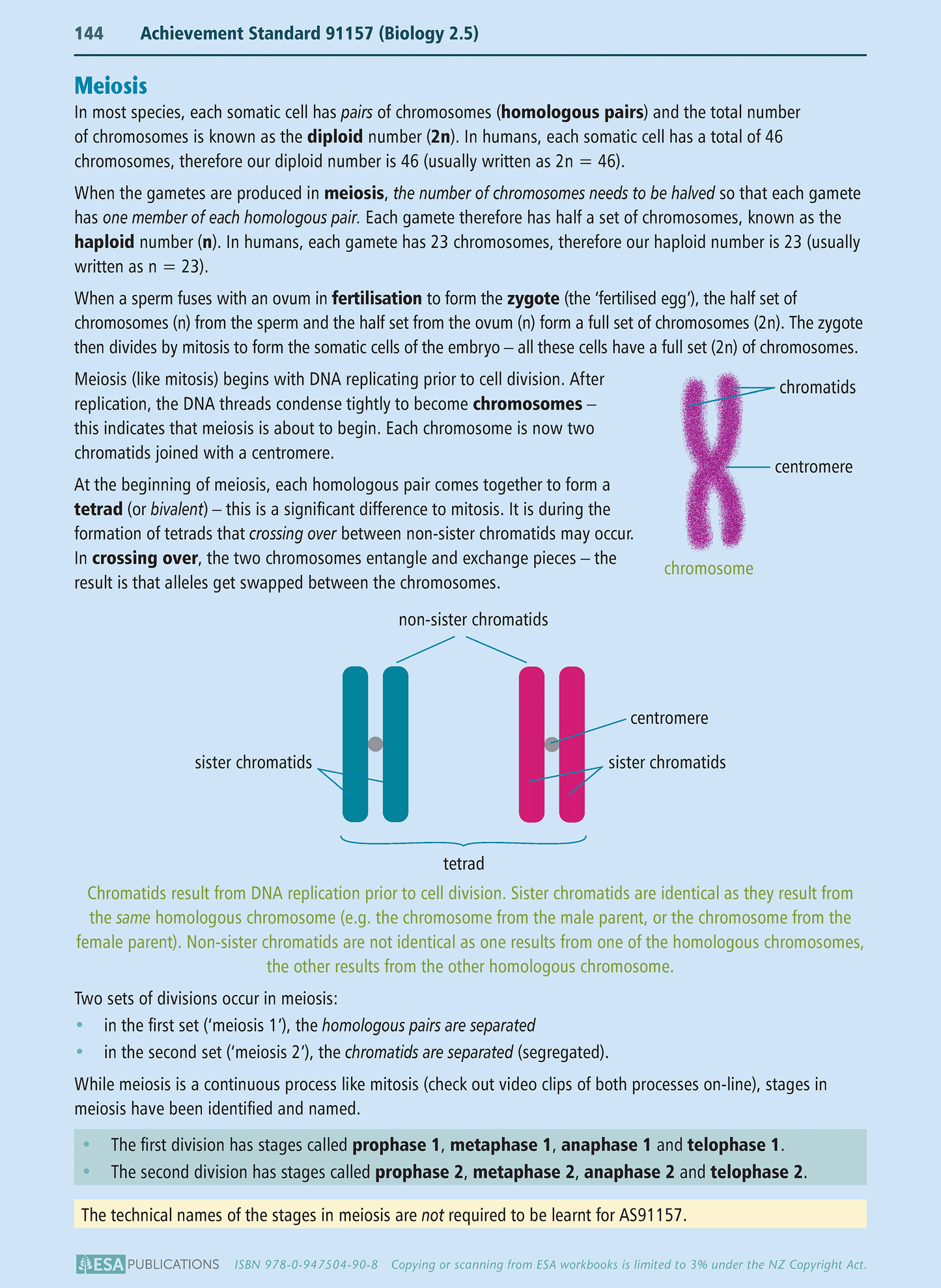 Level 2 Biology Learning Workbook