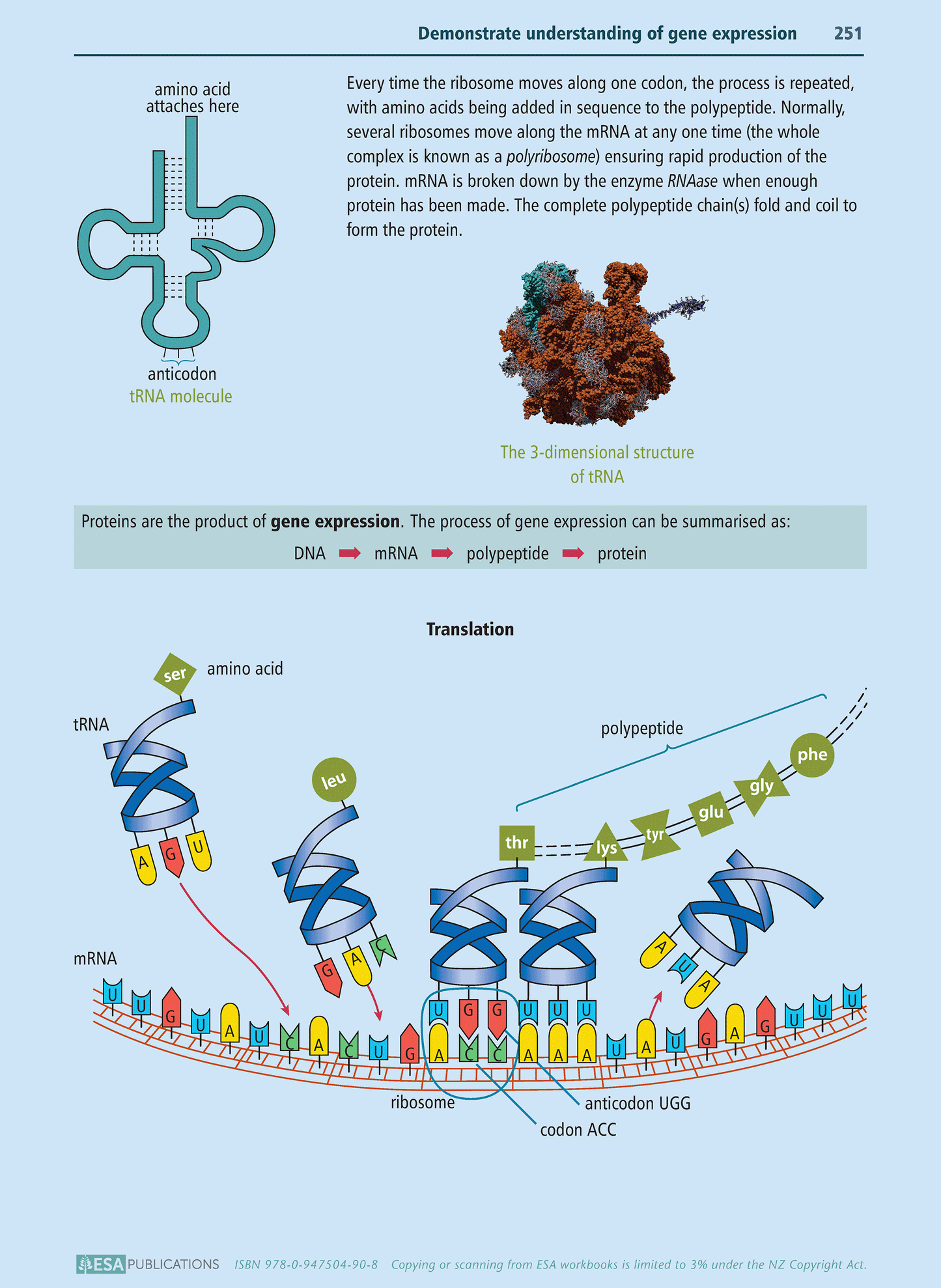 Level 2 Biology Learning Workbook