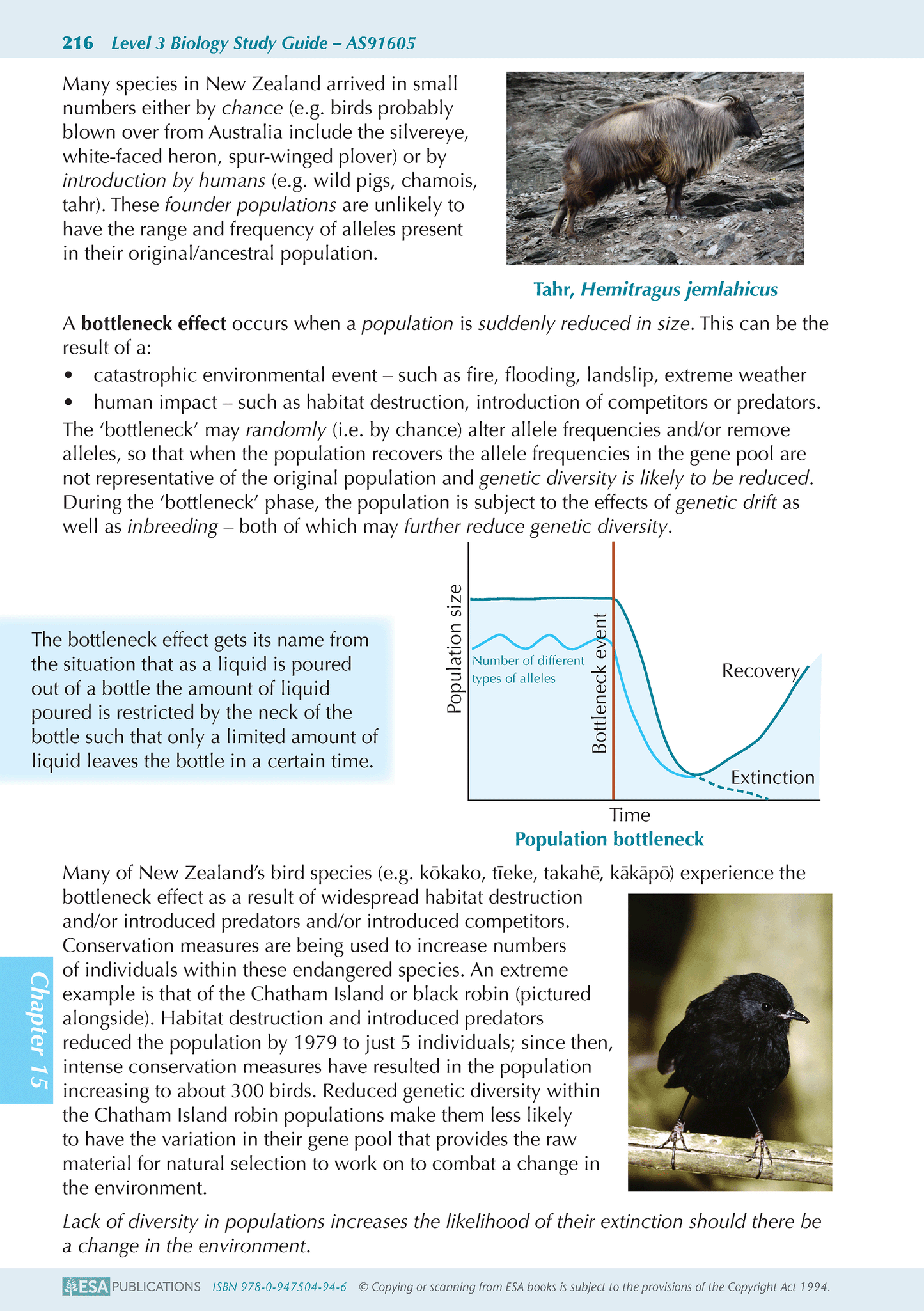 Level 3 Biology ESA Study Guide