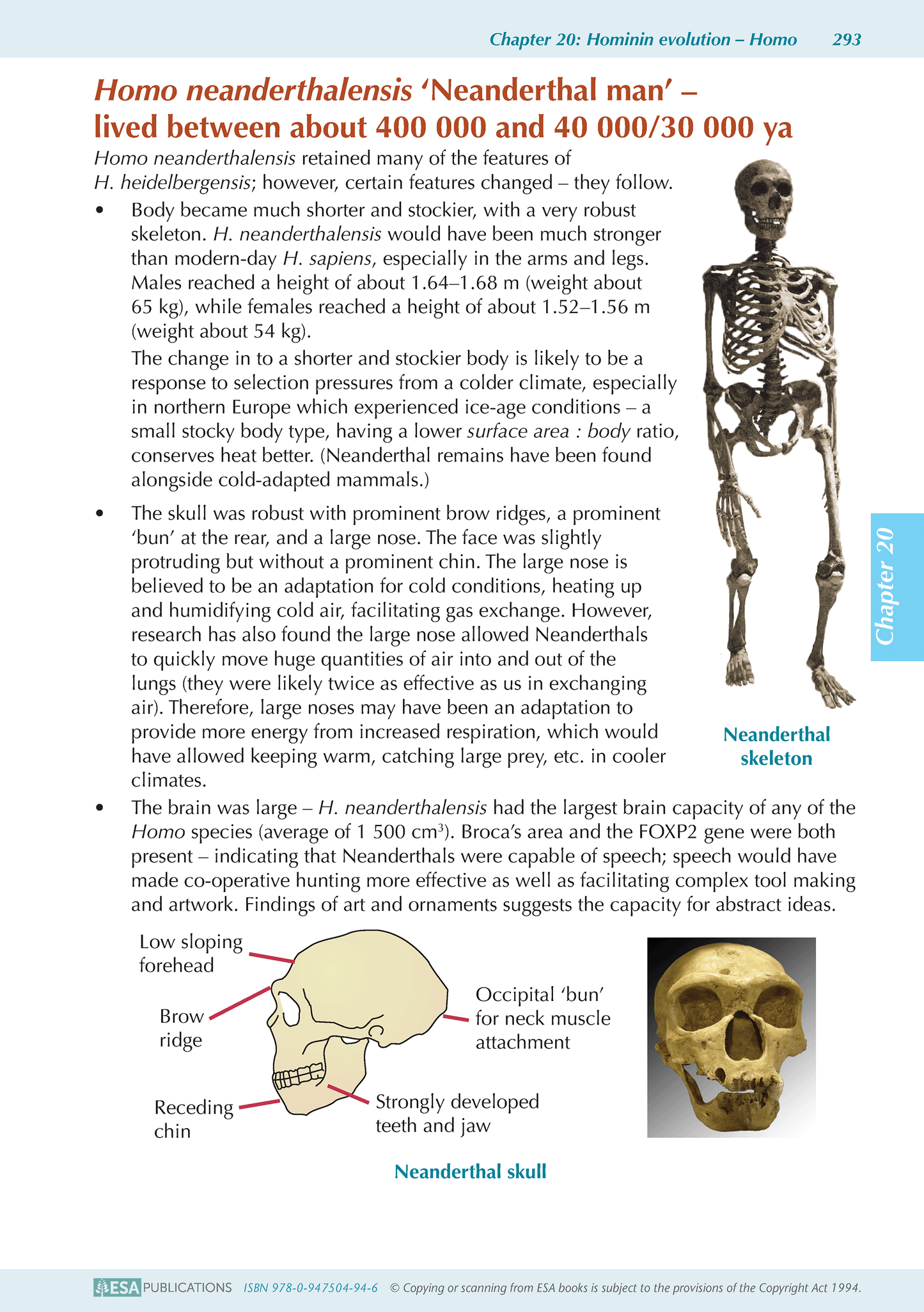 Level 3 Biology ESA Study Guide