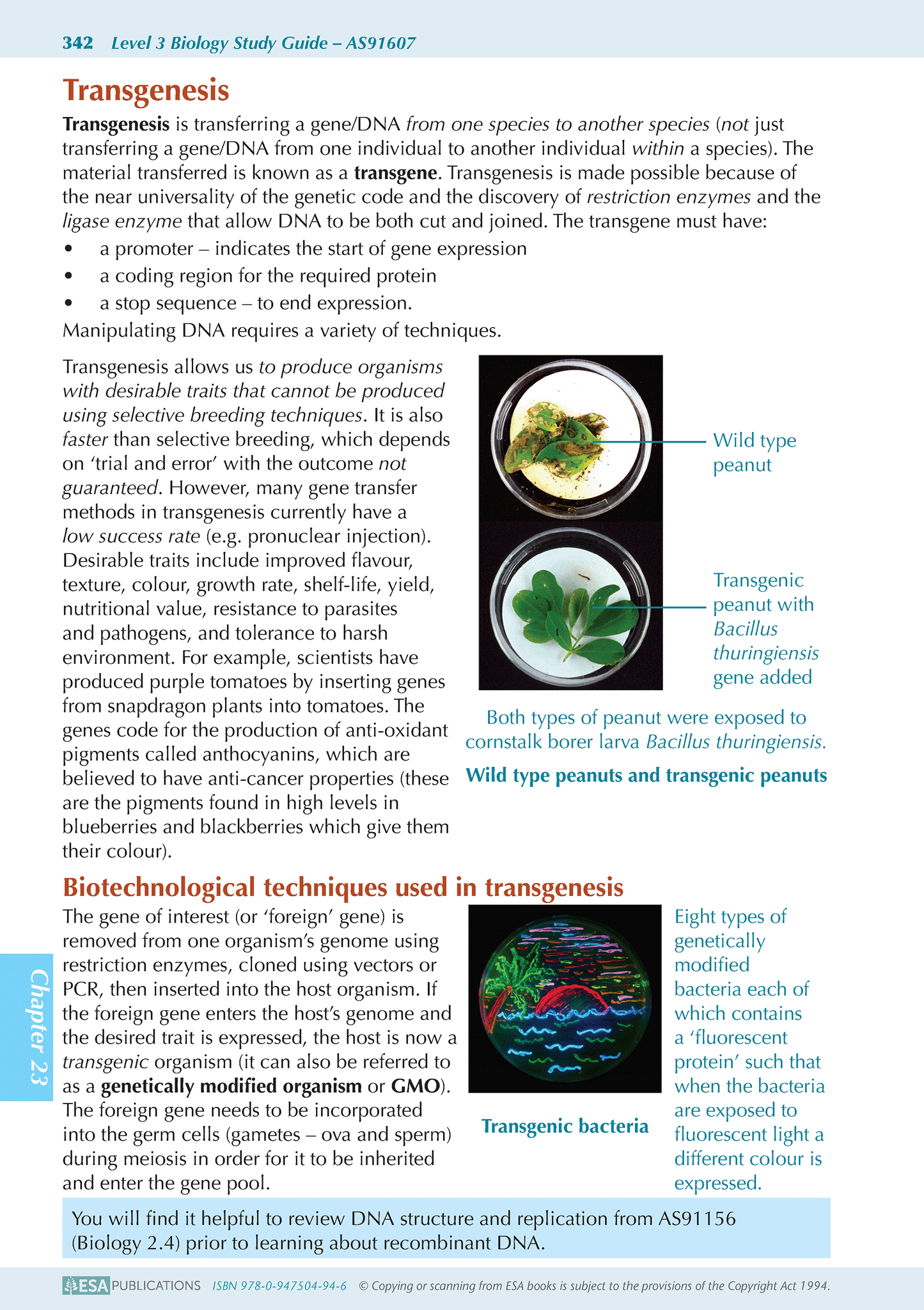 Level 3 Biology ESA Study Guide