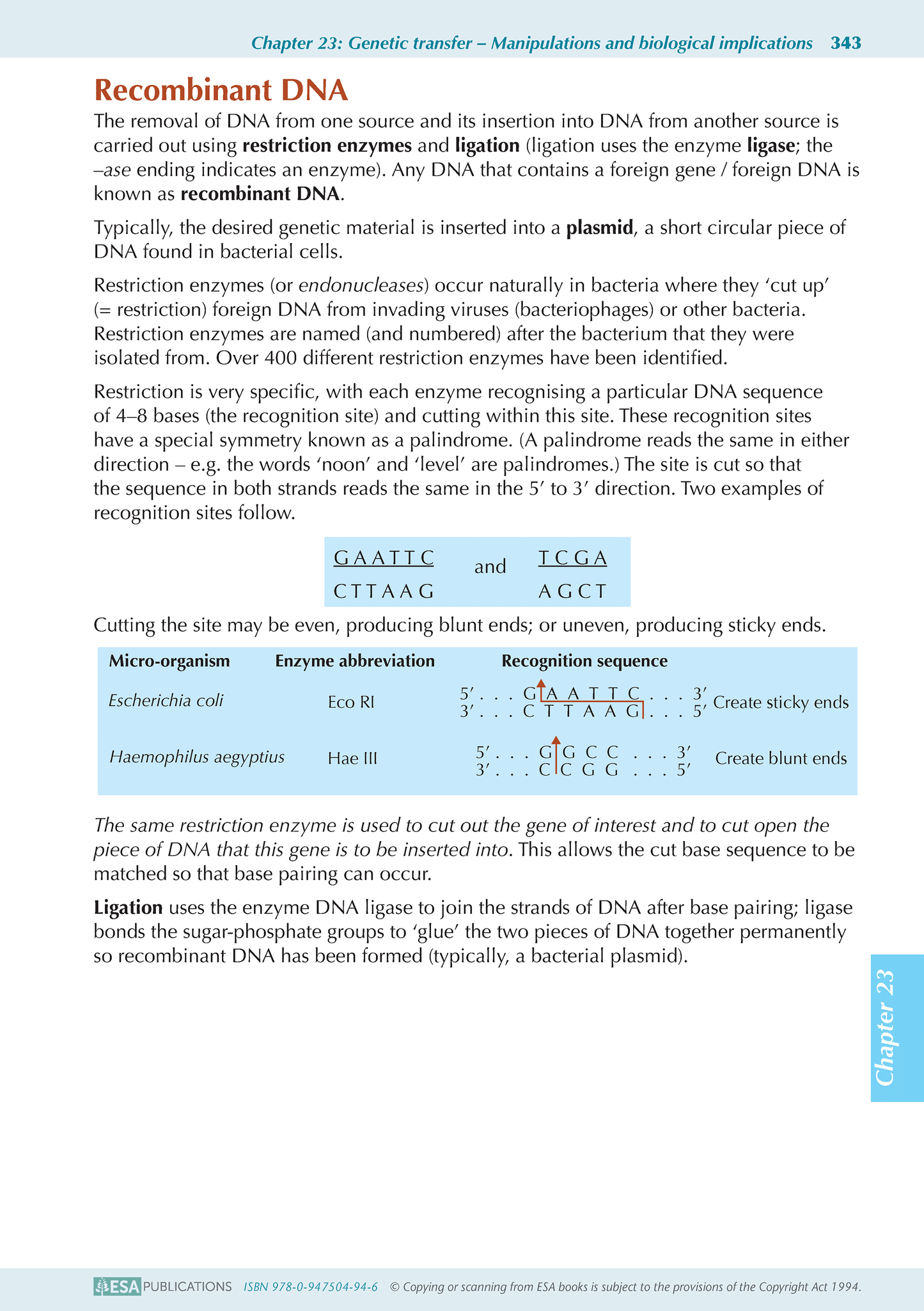 Level 3 Biology ESA Study Guide