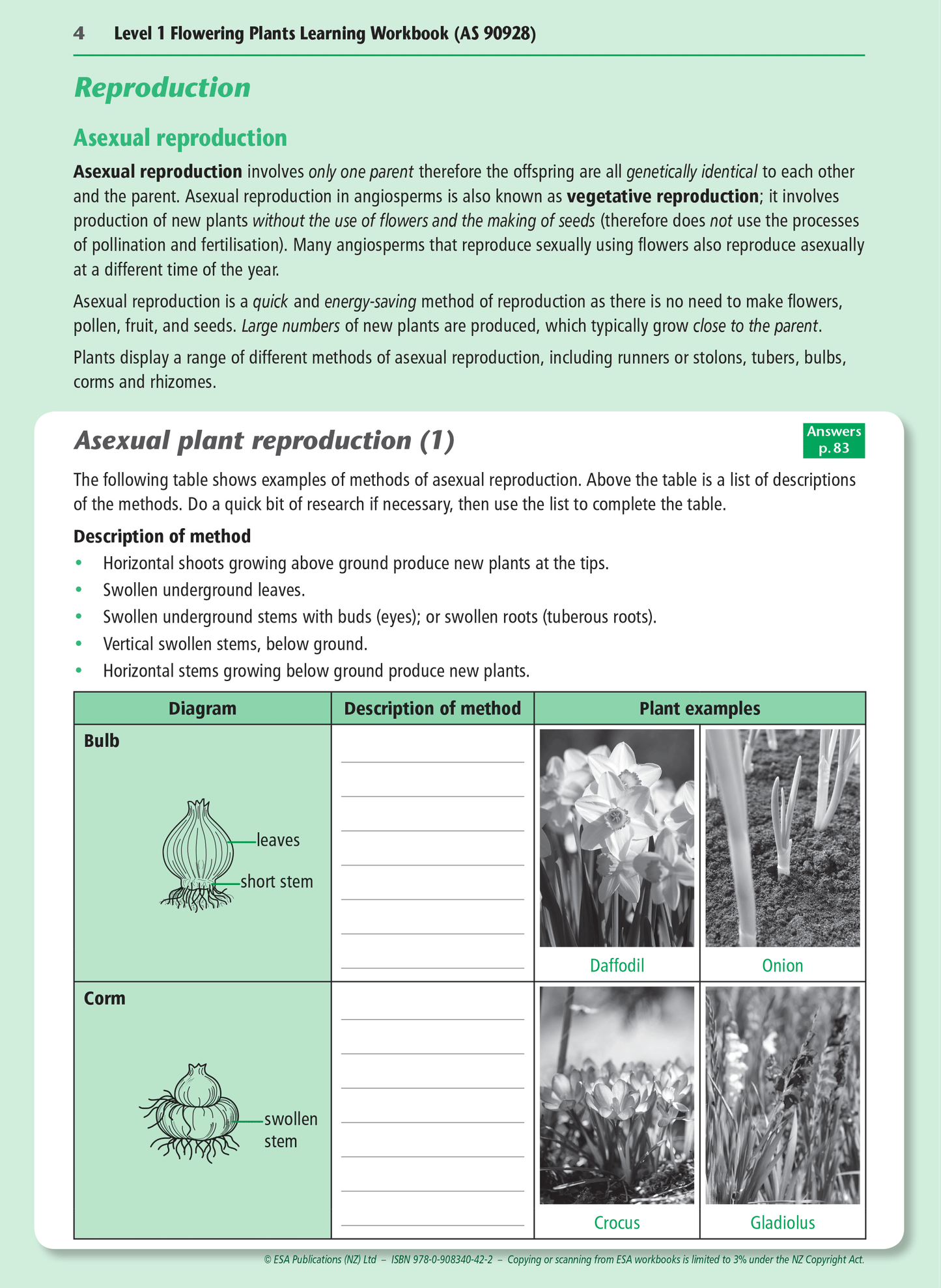 Level 1 Flowering Plants 1.4 Learning Workbook