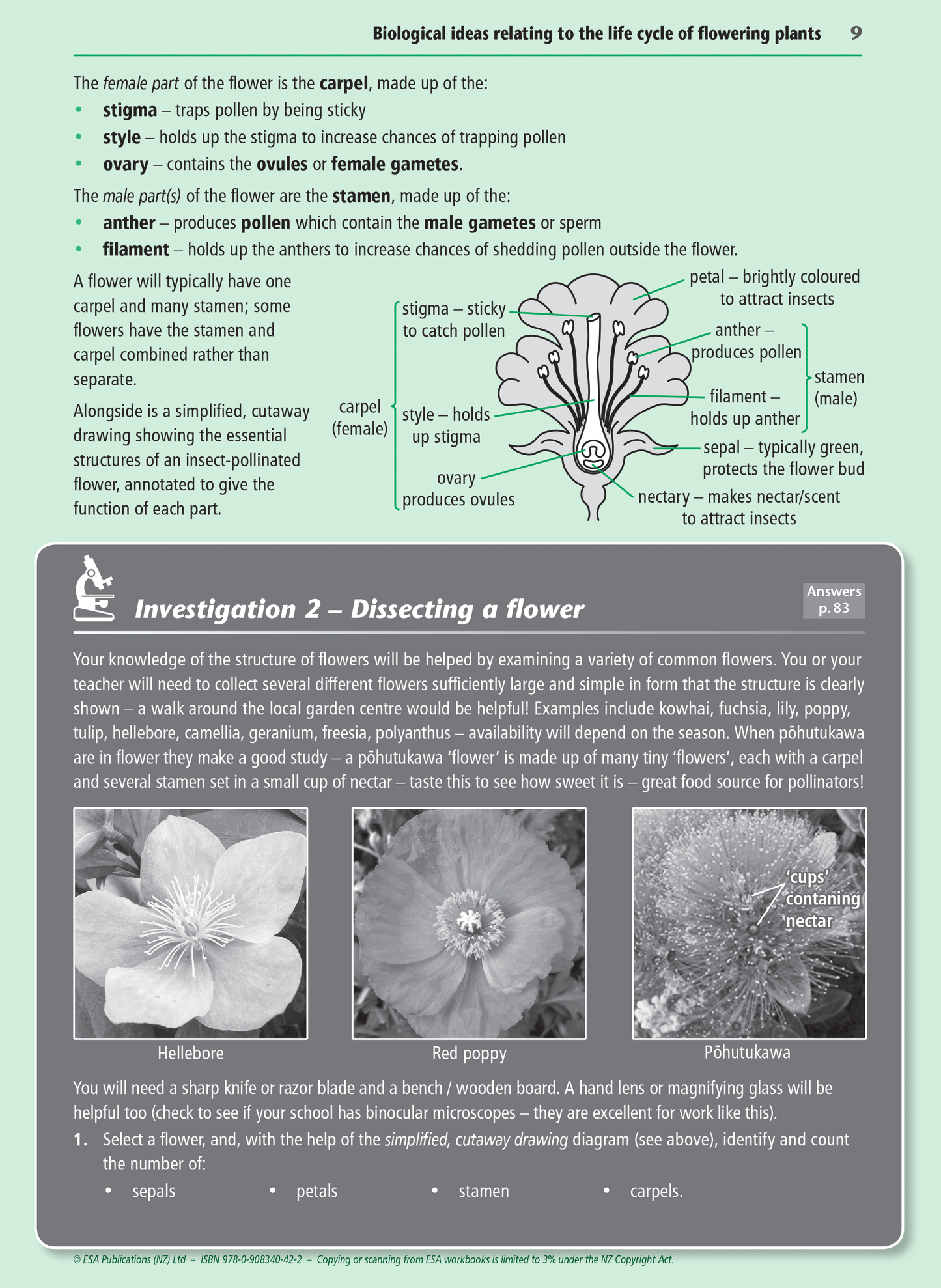 Level 1 Flowering Plants 1.4 Learning Workbook