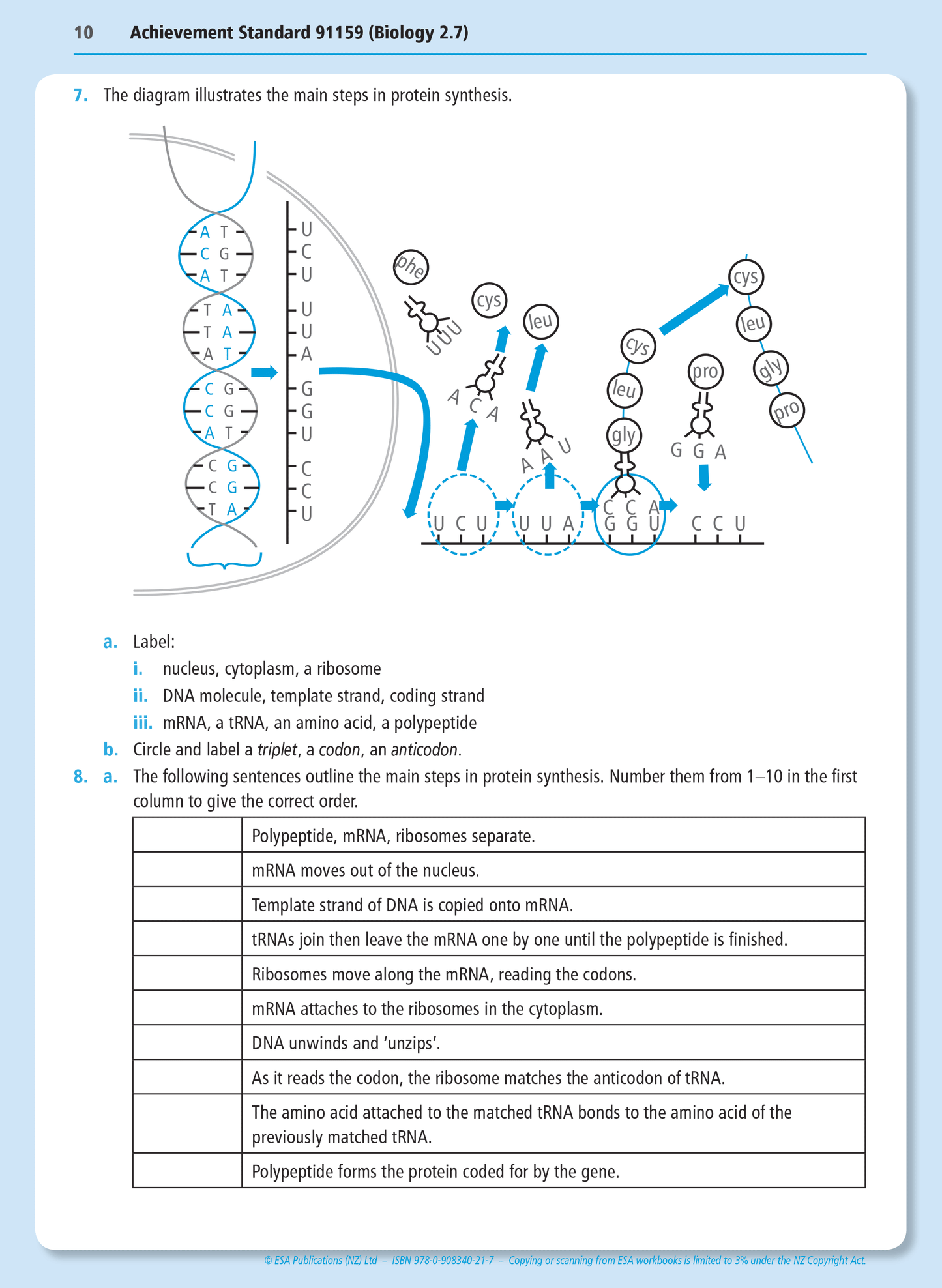 Level 2 Gene Expression 2.7 Learning Workbook