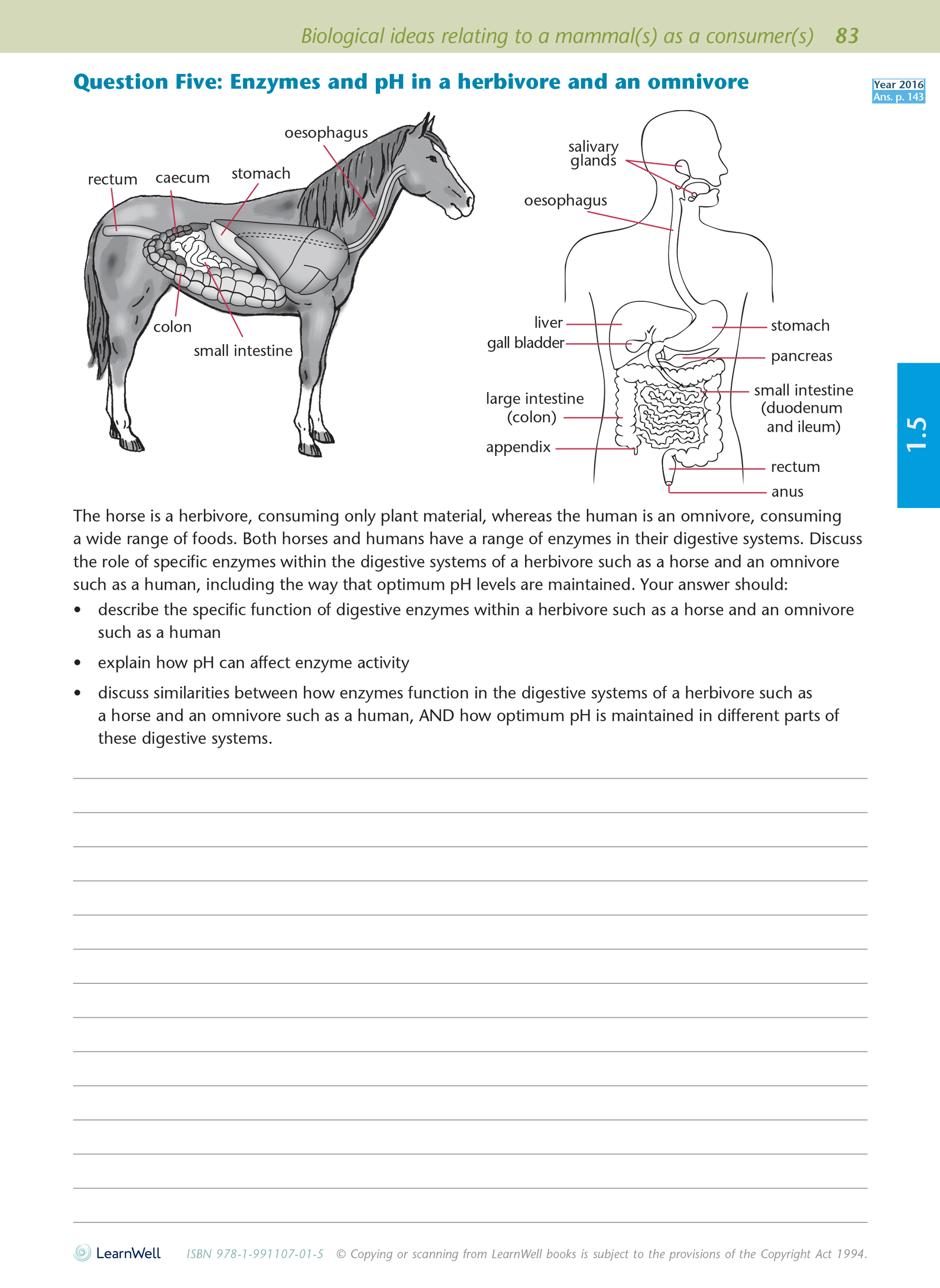 Level 1 Biology AME Workbook for NCEA 2023 edition