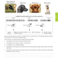 Level 2 Biology AME Workbook - SPECIAL (damaged stock at $10 each)