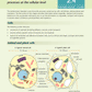 Level 2 Biology AME Workbook