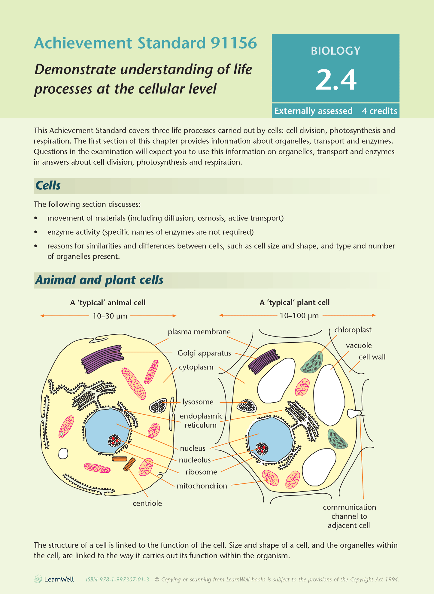 Level 2 Biology AME Workbook
