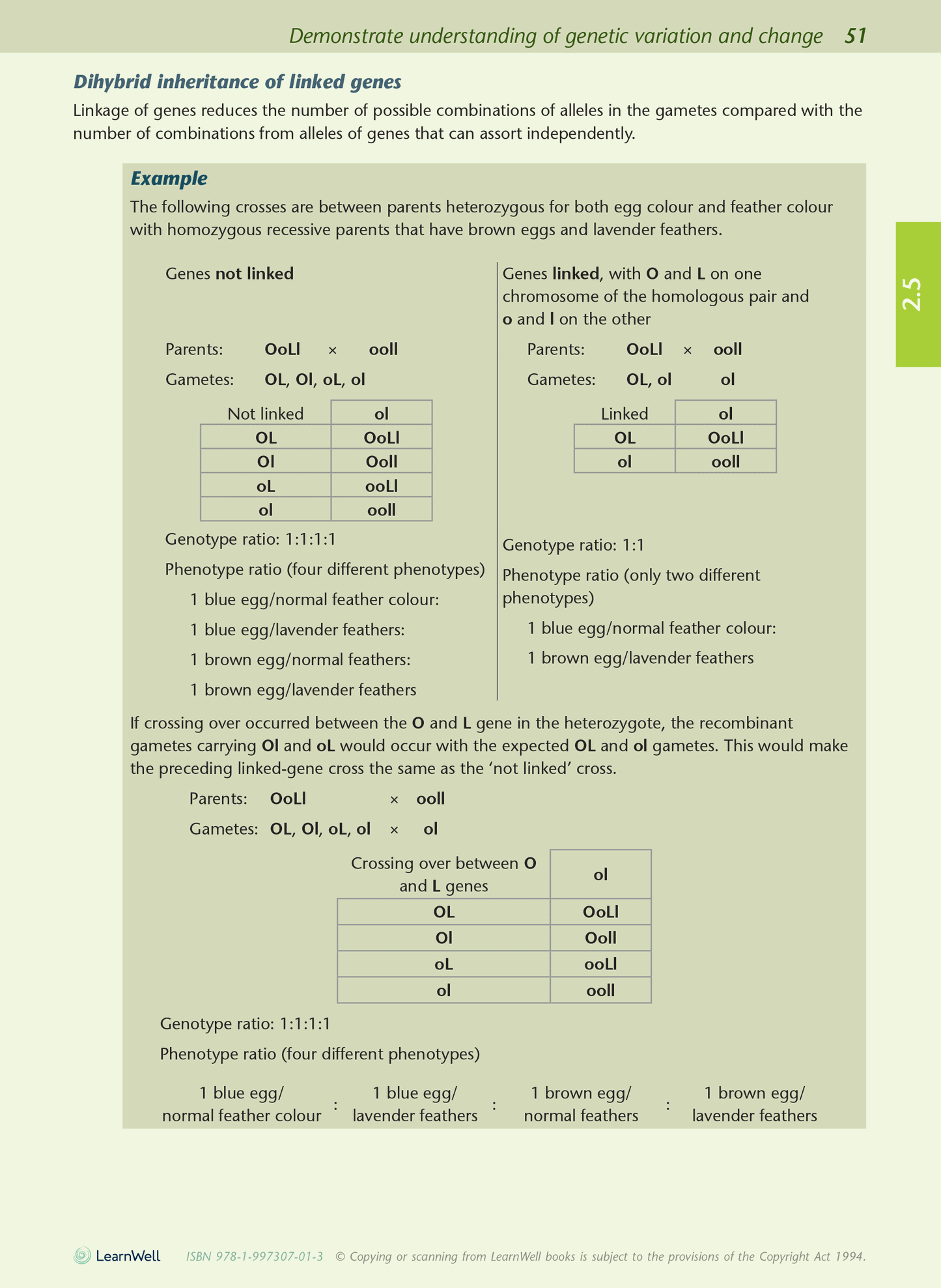 Level 2 Biology AME Workbook