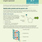 Level 2 Biology AME Workbook