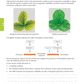 Level 2 Biology AME Workbook