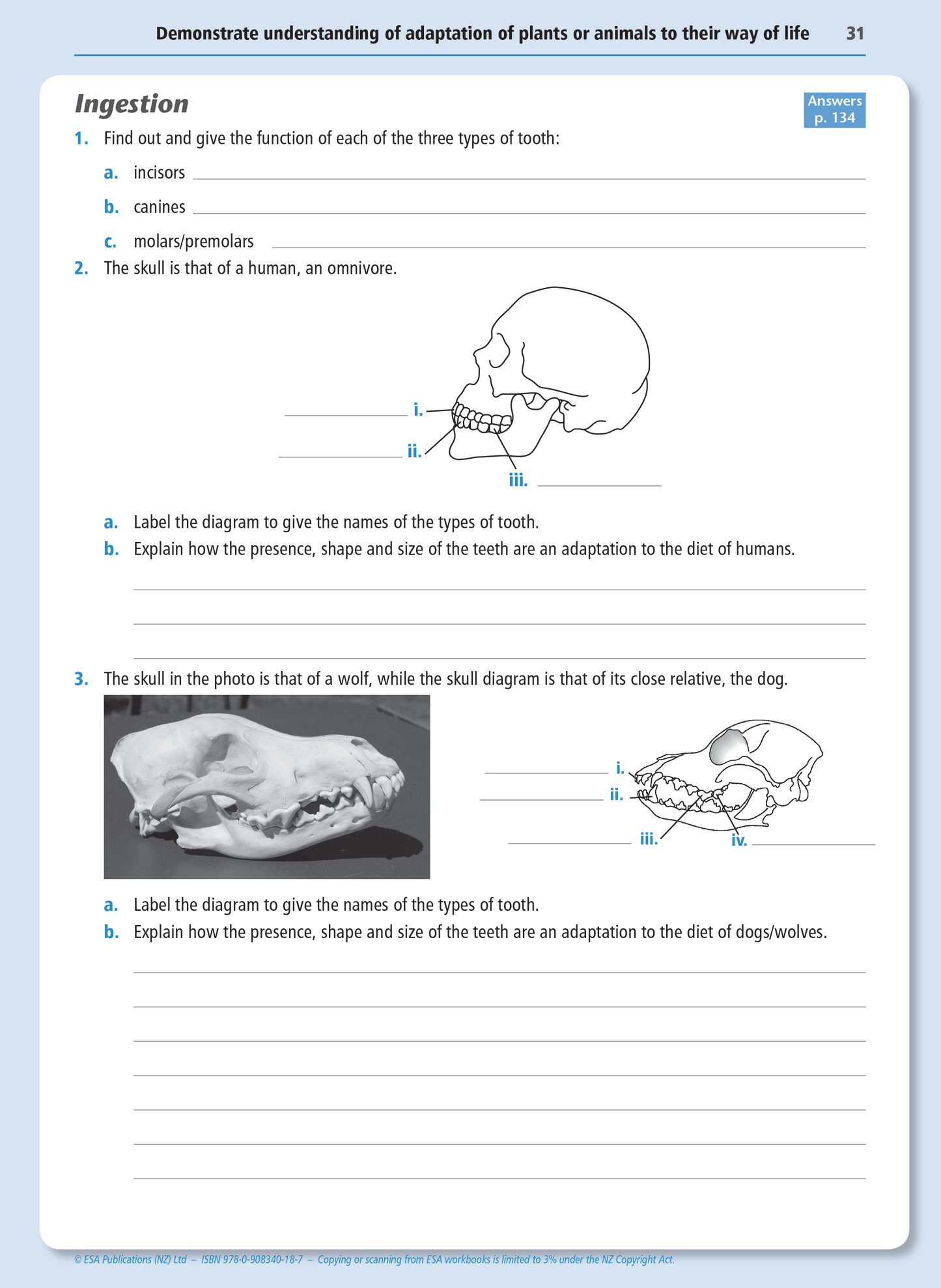 Level 2 Biology Internals Learning Workbook
