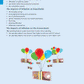 Level 2 Economics AME Workbook