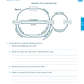 Level 2 Economics AME Workbook