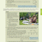 Level 2 Mathematics and Statistics AME Workbook
