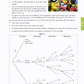 Level 2 Mathematics and Statistics AME Workbook