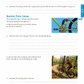Level 2 Physics AME Workbook
