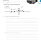 Level 2 Physics AME Workbook