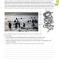 Level 3 Biology AME Workbook