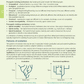 Level 3 Biology AME Workbook