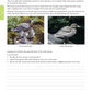 Level 3 Biology AME Workbook