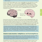 Level 3 Biology AME Workbook