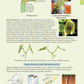 Level 3 Biology AME Workbook