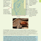 Level 3 Biology AME Workbook