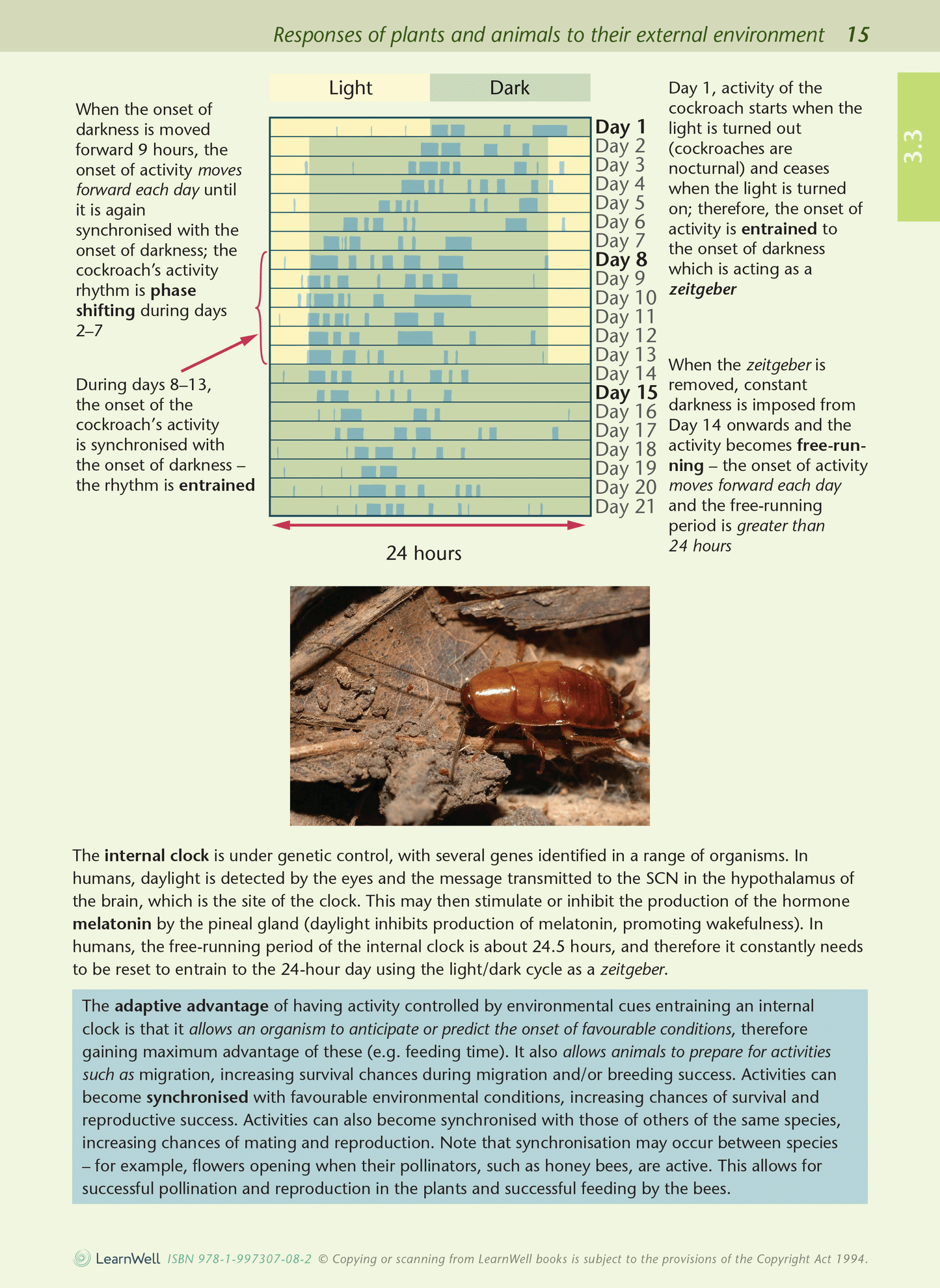 Level 3 Biology AME Workbook
