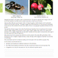 Level 3 Biology AME Workbook