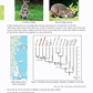 Level 3 Biology AME Workbook