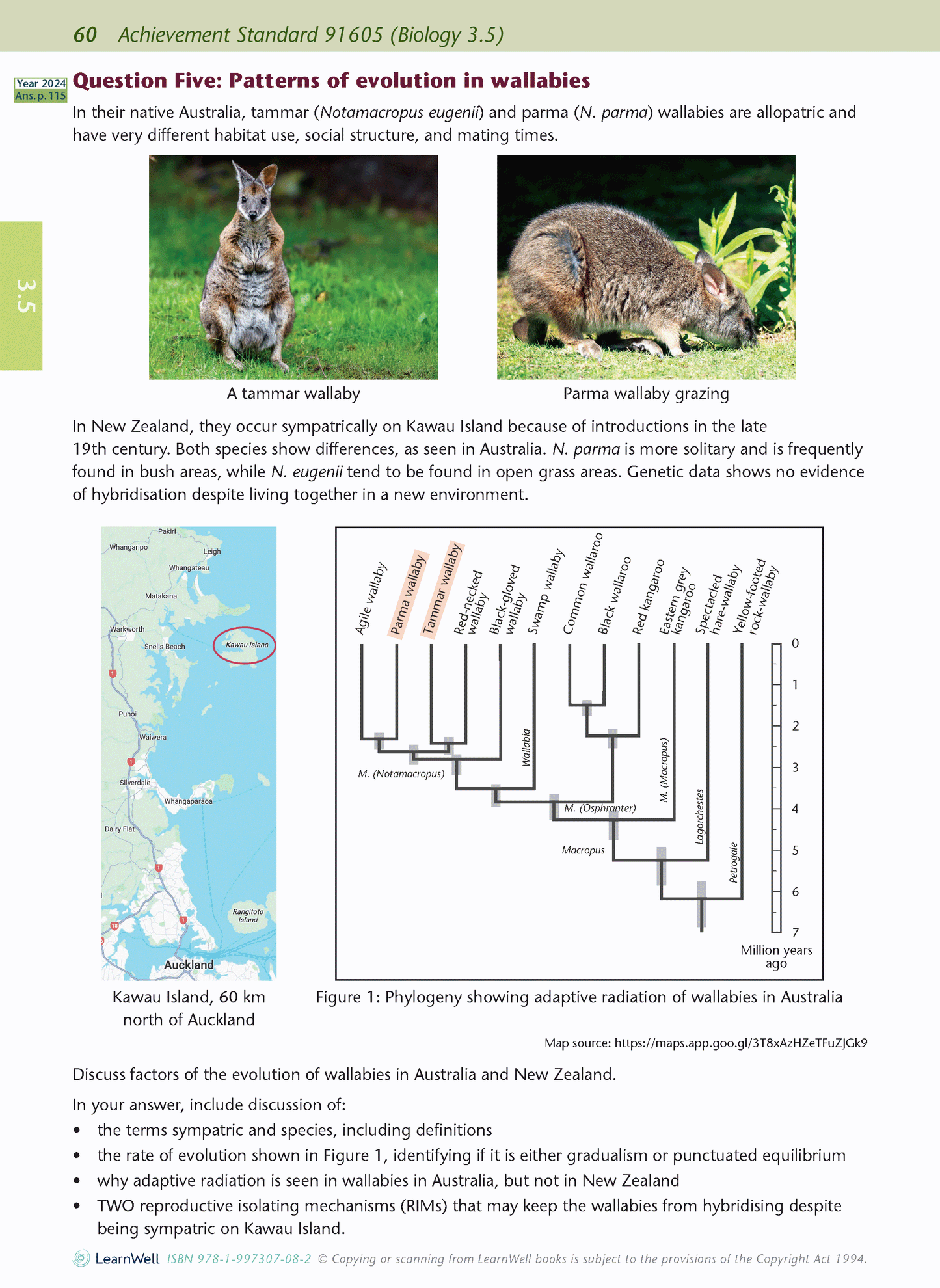 Level 3 Biology AME Workbook