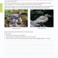 Level 3 Biology AME Workbook
